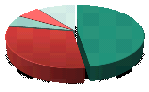 Wykres 1 Struktura przychodów 10% 6% 30% 6% 48% POKARM AKCESORIA PREPARATY ZWIERZĘTA ŻYWE INNE Źródło: Emitent Powyższy wykres przedstawia procentowy udział sprzedaży posiadanego i objętego ofertą