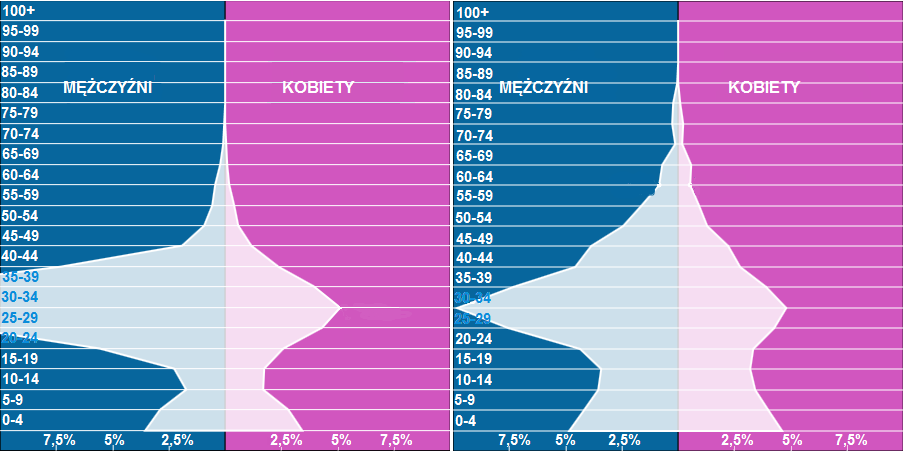 Struktura płci i wieku ludności wybranych państw Zatoki Perskiej w 2015 roku Źródło: http://populationpyramid.net/ Zadanie 13. (0-2p.