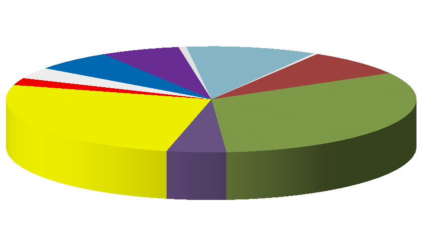 Porzeczka 3,4% Malina 2,2% Truskawka Winorośl Śliwki 6,2% 0,6% 6,2% Jabłka 25,9% Wiśnia 10