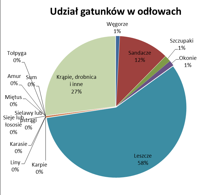 połowów ryb w roku P Łaszczyca, B.Wlazło, A.