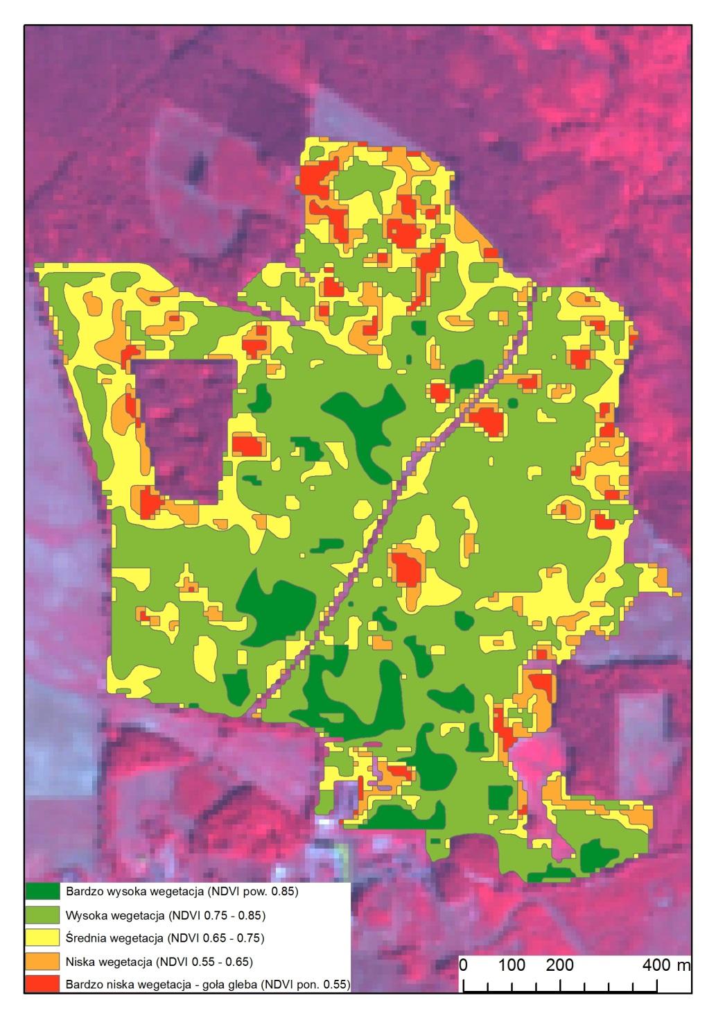 Klasyfikacja kondycji topoli + statystyki NDVI Area (ha) Name % between 0.75 and 0.85 61,32 High Vegetation 53,63 between 0.65 and 0.