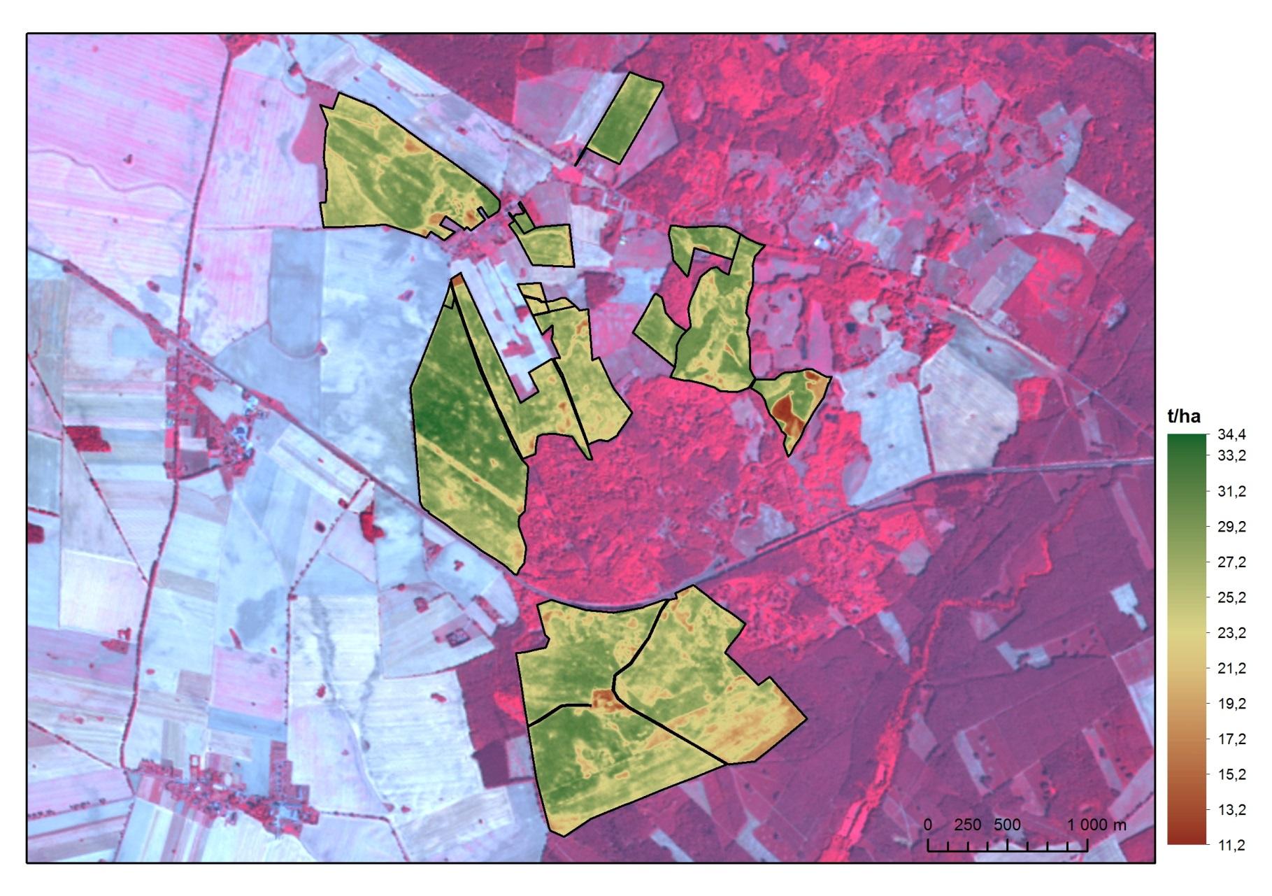 Mapa Biomasy