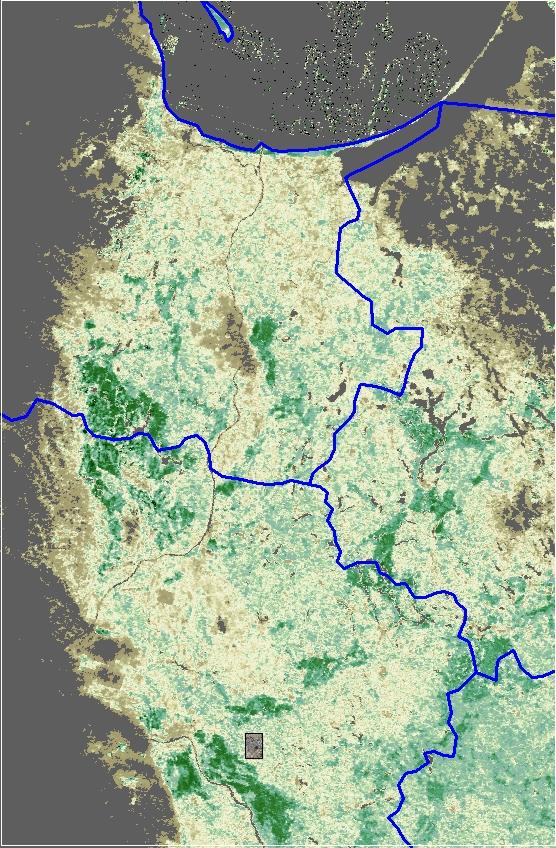 Terra MODIS porównanie NDVI z 2009 (dobre warunki) i NDVI z 2012 roku