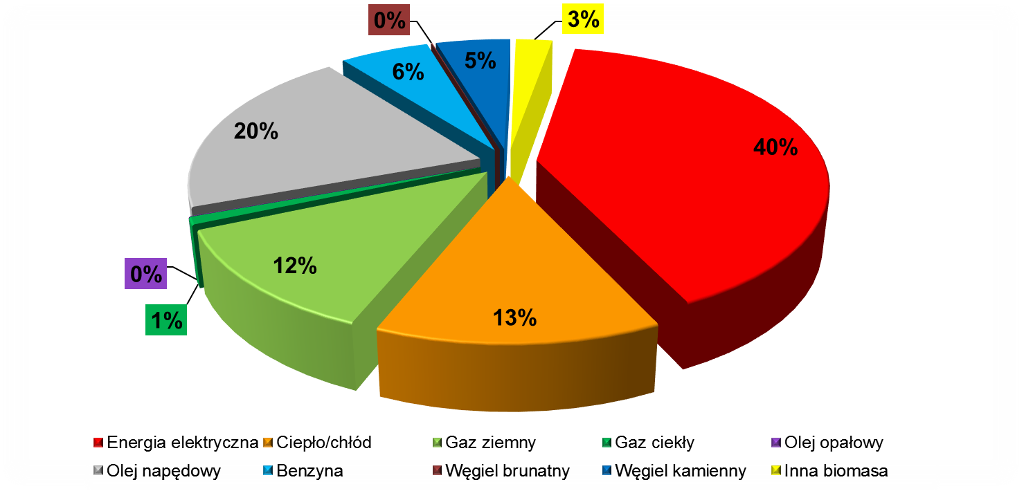 Rysunek V.6. Udział wielkości emisji CO2 [MgCO2/rok] wg podziału na paliwa i nośniki energii, w roku kontrolnym (213) Źródło danych: Baza emisji (patrz wyjaśnienie na str.