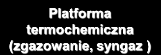 Platforma biochemiczna (cukrowa, tłuszczowa)