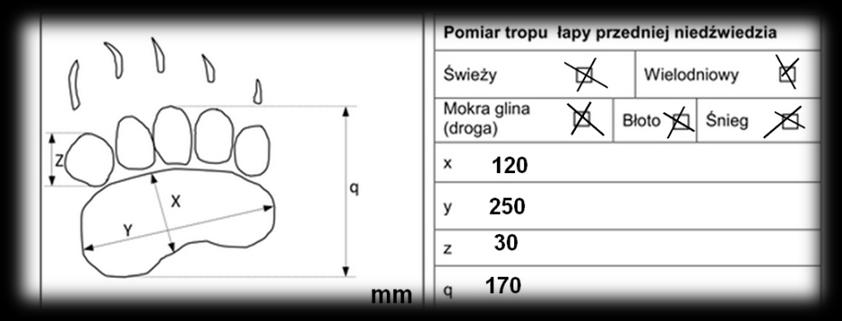 Obserwacje terenowe J.