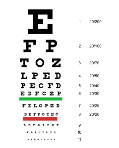 Tradycyjna Tablica optometryczna - wymiary: 28 x 56 cm - odległość pracy: 6 m 78,00