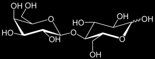 melibioza hydroliza fruktoza rafinoza wykorzystanie serwatki hydroliza laktozy
