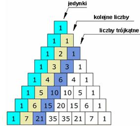 Własności trójkąta Pierwsza przekątna to oczywiście same jedynki, następna przekątna ma liczby naturalne,trzecia przekątna utworzona została z liczb trójkątnych.