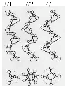 Ścisłe ułożenie fragmentów makrocząsteczek w przestrzeni powoduje powstawanie mikrokonformacji wzdłuż łańcucha, z utworzeniem struktury typu spiralnego (helisy)