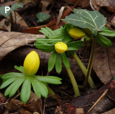 3.1. Dopasowanie obszarami, miara SAD 20 Rysunek 3.1: Stereopara testowa Rysunek 3.