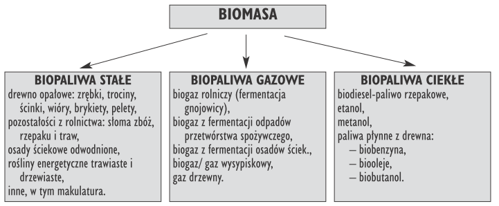 zm.) - biomasa to stałe lub ciekłe substancje pochodzenia roślinnego lub zwierzęcego, które ulegają biodegradacji, pochodzące z produktów, odpadów i pozostałości z produkcji rolnej oraz leśnej, a