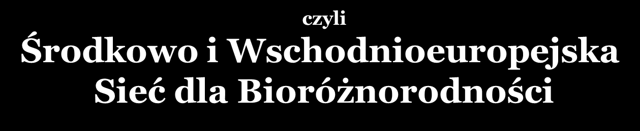 Budapeszcie Działamy na rzecz ochrony