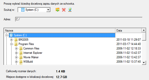 104 7. Określ miejsce, na które dane mają zostać skopiowane. 8. Zakończ kreatora, aby wykonać operację.