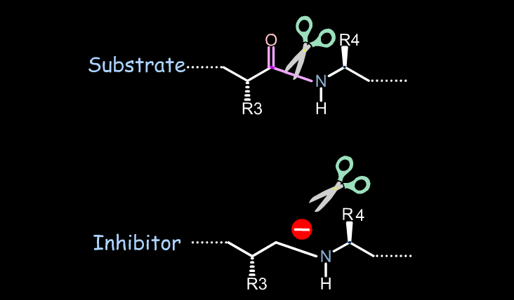 Schemat inhibitora stanu