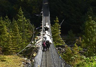 Dzień 3 - Namche Bazaar 3440m Kontynuujemy trekking wzdłuż rzeki Dudh Kosi wielokrotnie przecinając jej majestatyczny brzeg. Idziemy przez pola tarasowe.