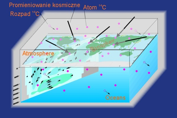 Wartość czasu połowicznego zaniku 14C T1/2 wynosi 5720±30 lat.