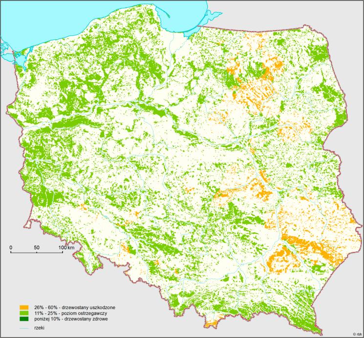 Trzy następne województwa: mazowieckie, opolskie i warmińsko-mazurskie w 2014 r. znalazły się w grupie województw o wysokim poziomie uszkodzenia drzew.