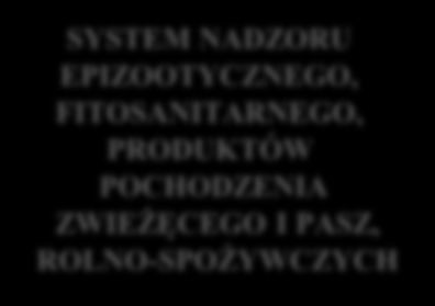 SKŁAD KRAJOWEGO SYSTEMU WYKRYWANIA SKAŻEŃ I ALARMOWANIA CENTRUM DYSPOZYCYJNE KSWSiA MINISTERSTWO OBRONY NARODOWEJ MINISTERSTWO ZDROWIA MINISTERSTWO SPRAW WEWNĘTRZNYCH MINISTERSTWO ROLNICTWA,