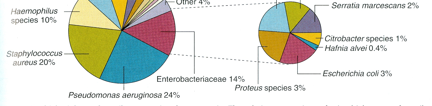 Patogeny powodujące VAP Park DR: The microbiology of