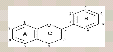 są podobne do 17-beta-estradiolu pod względem budowy. Fitoestrogeny należą do dwóch grup chemicznych, włącznie z wielką grupą polifenolów: izoflawonoidy i lignany.