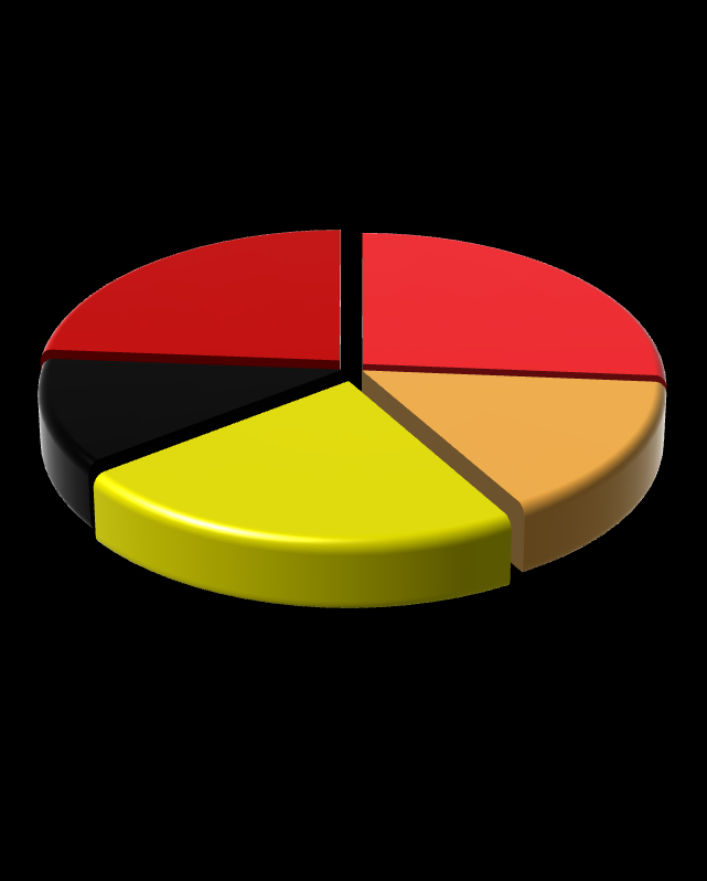 STRUKTURA AKCJONARIATU Udział w kapitale zakładowym Udział w głosach na WZA 29,19% 25,62% 23,76% 26,28% 14,29% 18,62% 12,29% 11,63% 22,90%