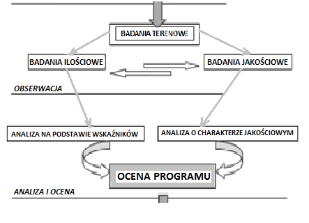 Proces ewaluacji fazy obserwacji oraz analizy i