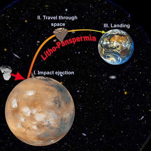 PANSPERMIA: PROBLEMY Transport (problemy): wybicie z obiektu macierzystego (obserwacje i doświadczenia): 1. Są bakterie odporne na duże zmiany prędkości i przyspieszeń; 2.