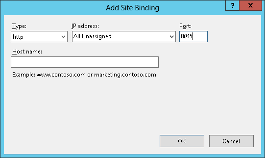 4. W oknie Site Bindings sprawdź, czy istnieje wpis z domyślnym adresem IP oraz pustą wartością nagłówka hosta. 5.