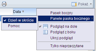 umożliwiające sterowaniem układu paska bocznego oraz panelami (zawartością) paska bocznego: Użytkownik może wypełnić pasek boczny panelem o nazwie Dzień w skrócie (ustawienie domyślne) lub może