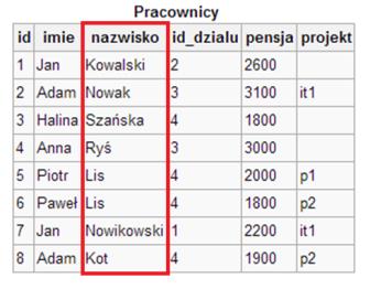 Slajd 16 Podstawowe pojęcia Kolumna W relacyjnym modelu baz danych i podobnych, kolumny stanowią zwykle atrybuty jakiegoś obiektu (np.