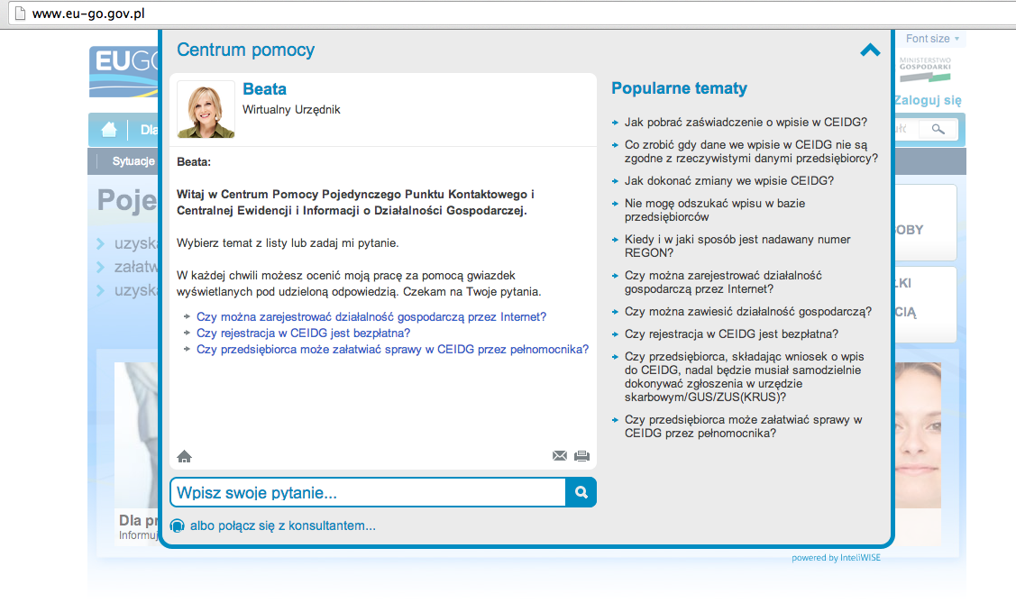 1.2.4. Informacje na temat akcjonariuszy InteliWISE S.A. Kapitał zakładowy Spółki na dzień 31.12.2013r.