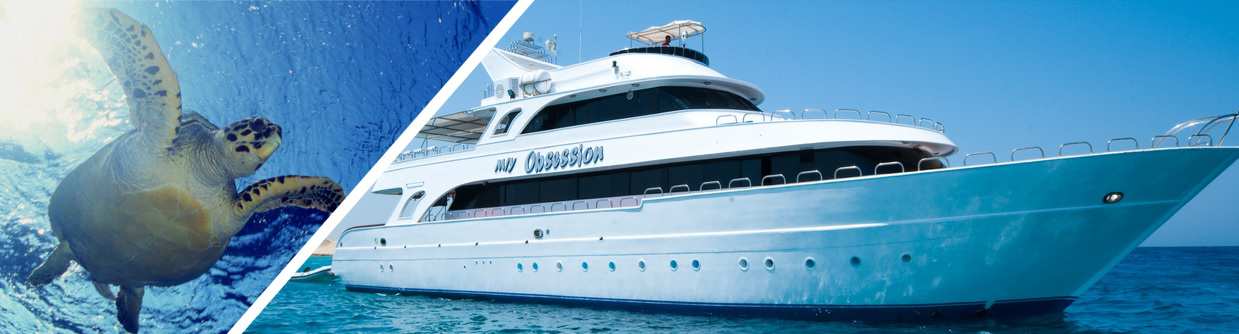 Od M/Y Obsession safari nurkowe Szczegółowe informacje o naszej flocie na www.safari-nurkowe.pl Trasa safari» Termin wyjazdu» St. Johns 03 marzec 10 marzec 2016 (8 dni) Cena wyjazdu» 5.