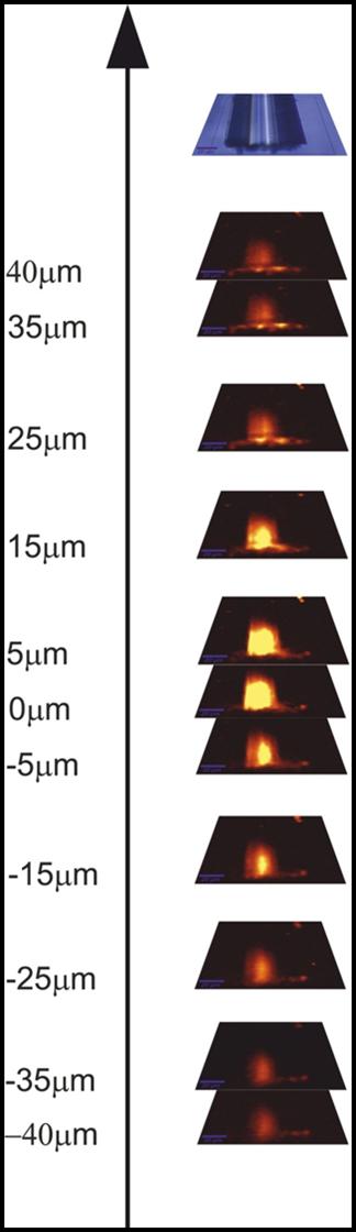 a) b) c) d) Rysunek 49. Mapa fluorescencji końca światłowodu p4 wypełnionego wodnym roztworem fenoksazyny o stężeniu 0,2 μm. Jaśniejszy kolor oznacza większą intensywność fluorescencji.