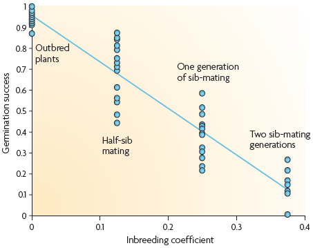 Badanie depresji inbredowej u gatunków o zapłodnieniu krzyżowym (outcrossing) Badanie depresji inbredowej u gatunków o zapłodnieniu krzyżowym (outcrossing) Germination success = liczba uzyskanych