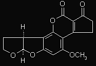 au/fungal_descriptions/hyphomycetes_(hyaline)/aspergillus/flavus) www.ipm.iastate.edu http://www.wellsphere.