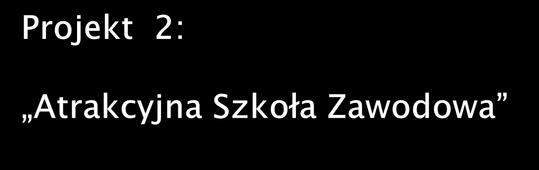 2009-2010 Realizator: Mazurski