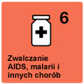 o Najbardziej zainfekowanym regionem na świecie jest Afryka Subsaharyjska gdzie żyje aż 2/3 z 33.4 mln ludzi zarażonych wirusem HIV (2008).