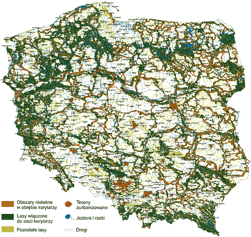 10 Dyrektywy Siedliskowej Art. 29 ust.