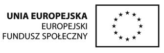 Projekt realizowany jest w ramach Priorytetu IX Programu Operacyjnego Kapitał Ludzki, Działanie 9.1,