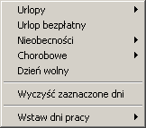 Widok roczny służy do wprowadzania czynności, które dotyczą całego dnia. Możemy tutaj ustalid, że dany dzieo jest np. dniem wolnym lub że kierowca w danym dniu wziął chorobowe.