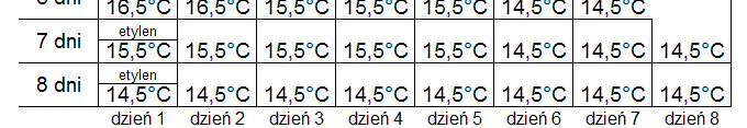 WaŜne jest, aby w początkowej fazie procesu dojrzewania, podnieść temperaturę powietrza w komorze w celu podwyŝszenia temperatury wewnątrz owoców jeszcze przed wprowadzeniem etylenu.