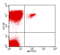 Przeciwciało monoklonalne inkt (klon 6B11) reaguje z unikalną determinantą w regionie CDR3 niezmiennego łańcucha TCR (Vα24Jα18) komórek inkt [19,21].