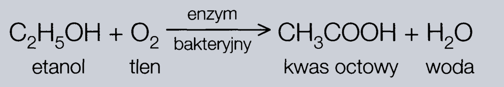 FERMENTACJA OCTOWA FERMENTACJA OCTOWA - proces polegający na utlenieniu alkoholu do
