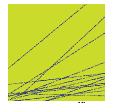 4. Apaszki apaszka 1)wymiary: 50cmx 50cm, 2)rodzaj materiału: bawełna 3)kolor: biała, zielona, granatowa, nadruk: według projektu graficznego przedstawionego przez