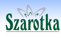 ZAPROSZENIE W tym roku już po raz kolejny mamy przyjemność zaprosić Państwa na obóz piłkarski do malowniczej miejscowości Istebna położonej w Beskidzie Śląskimgdzie turnusy letniego obozu