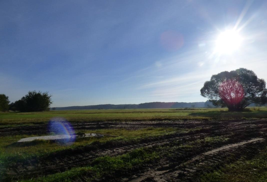 Fot. nr 3. Tereny łąkowe położone przy rzece Luciąży. W miejscowości Milejów znajduje się stary park z niewielkim stawem. Park stanowi starodrzew: lip, robinii akacjowych, topoli.