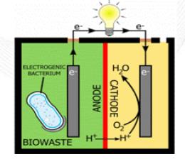 TECHNIKA W FAZIE ROZWOJU MIKROBIOLOGICZNE PALIWA OGNIWOWE SYNGAZ TECHNIKA W FAZIE ROZWOJU BIOMETAN SIEĆ GAZOWA Oczyszczanie biogazu Kogeneracja CHP Energia na