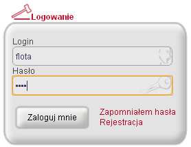 Przeglądanie serwisu aukcyjnego możliwe jest tylko i wyłącznie po zalogowaniu. Logowanie następuje w dwojaki sposób: 1.