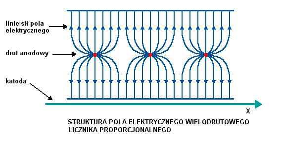 Zawiera wiele, blisko siebie, równo rozmieszczonych oraz znajdujących się w jednej płaszczyźnie drutów anodowych, z których każdy pełni funkcję niezależnego licznika proporcjonalnego.